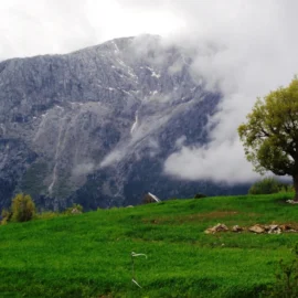 Isparta Sütçüler Sarp Dağ